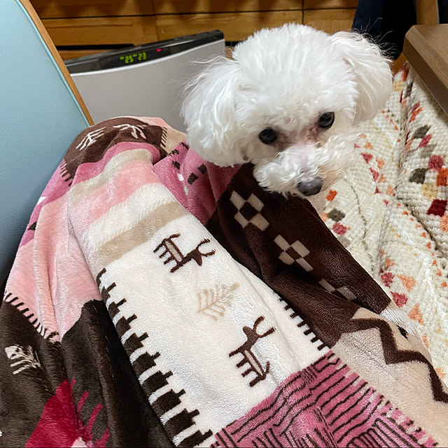 kakoさんの実例写真