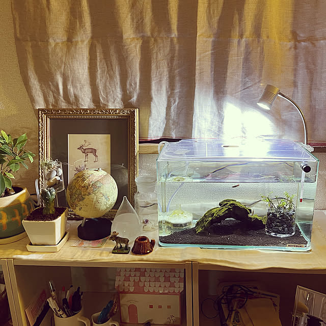 kamecoさんの実例写真