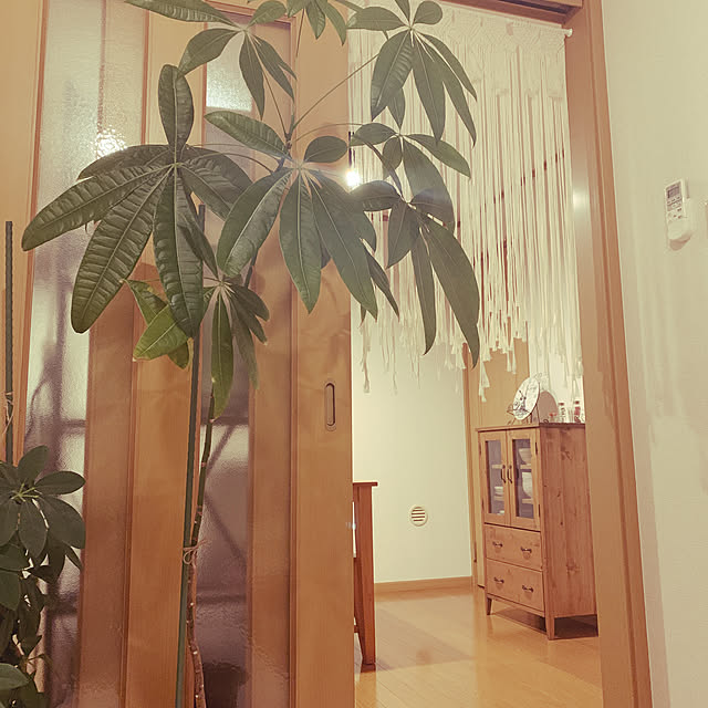 ez33cさんの実例写真