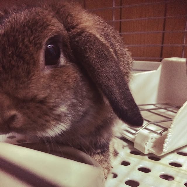 Arataさんの実例写真