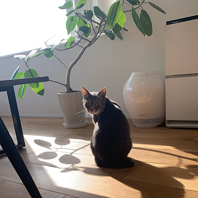 cocokuro0124さんの実例写真