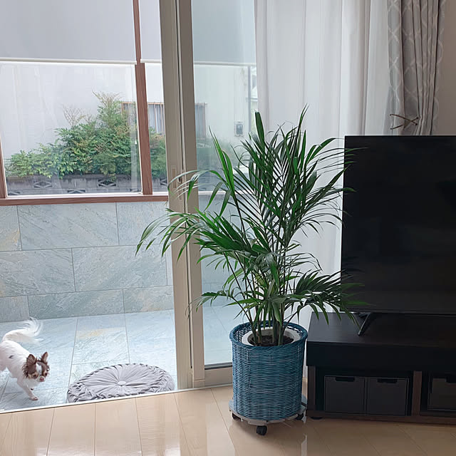 makoさんの実例写真