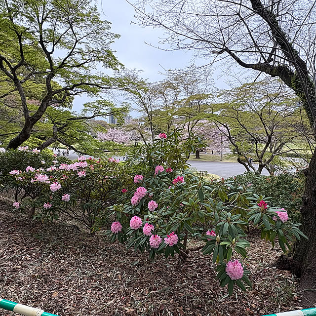 sayakaさんの部屋