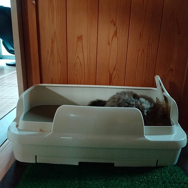 makaronさんの部屋