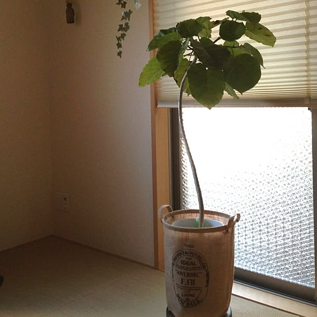 miiさんの実例写真
