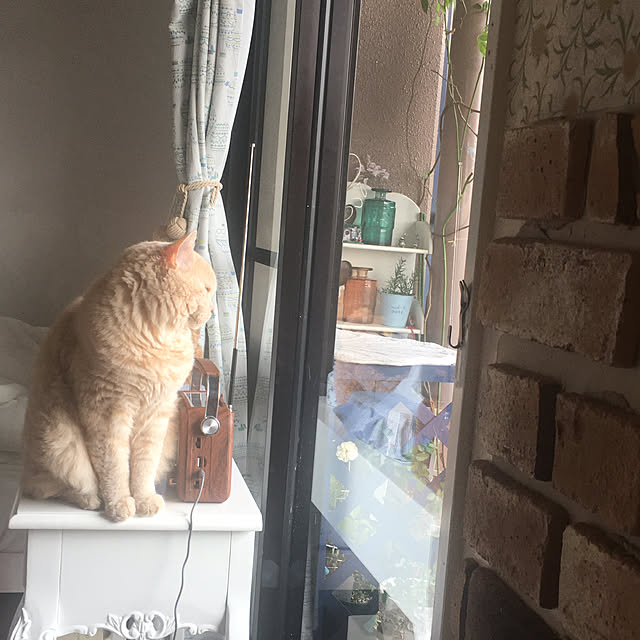 naokoさんの実例写真