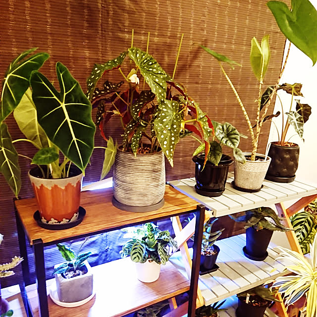 ot-gardenさんの実例写真