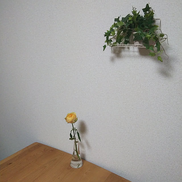 Ayaさんの実例写真