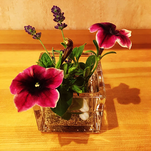 mama_sanさんの実例写真