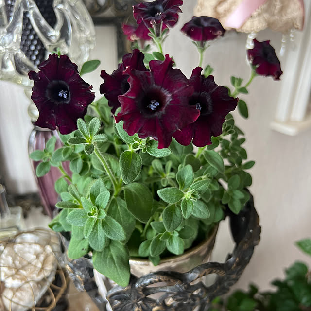 AYUKOさんの部屋