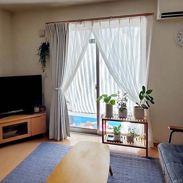 pomさんの実例写真