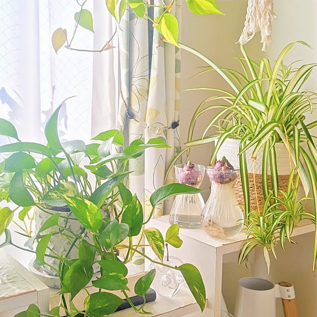 YuriYuriさんの部屋