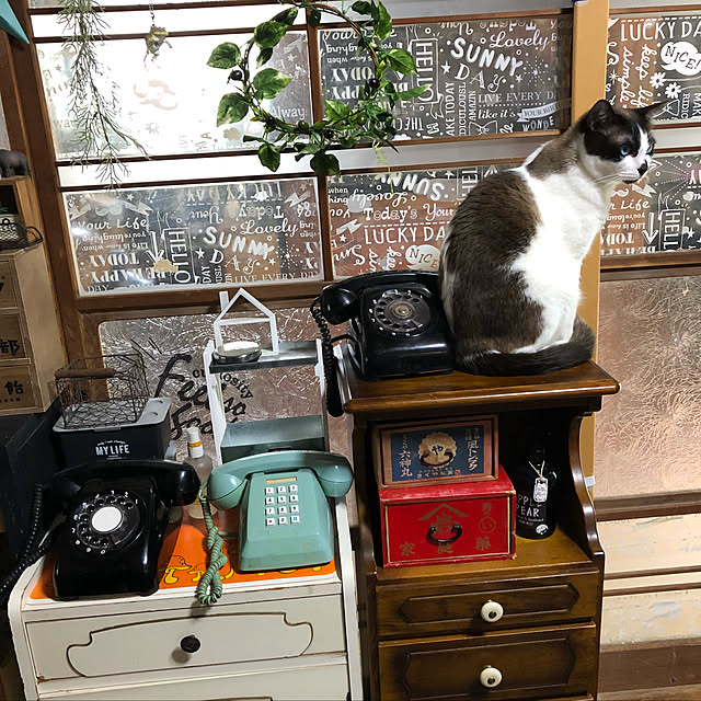 vivienne.coco-keiさんの実例写真