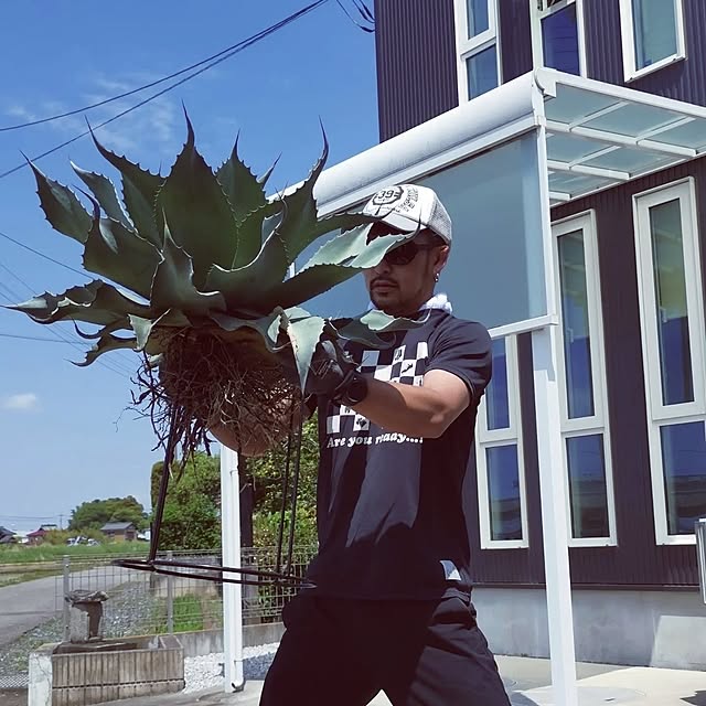 tomoさんの実例写真