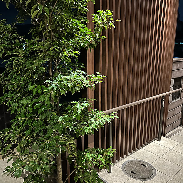 robi222さんの実例写真