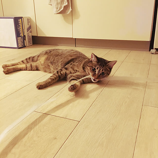 Mさんの実例写真