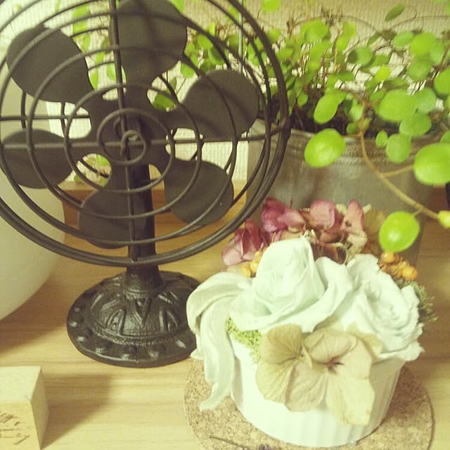 tentekomaiさんの実例写真