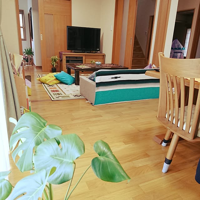 andoromedaさんの実例写真