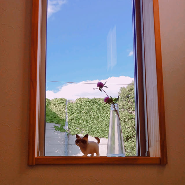 chocoさんの実例写真