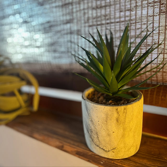 rookuさんの部屋