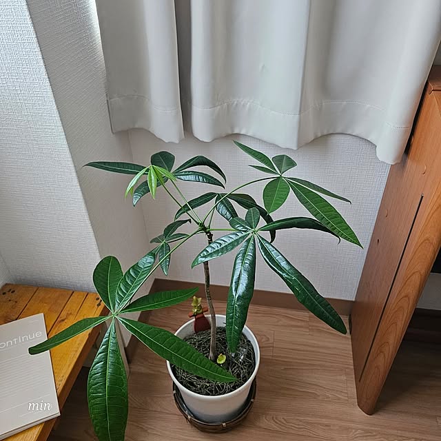 Miri.さんの部屋