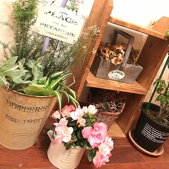 haruさんの実例写真