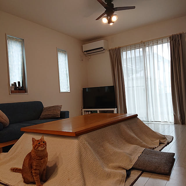 部屋全体のインテリア実例 - 2019-12-30 12:05:41