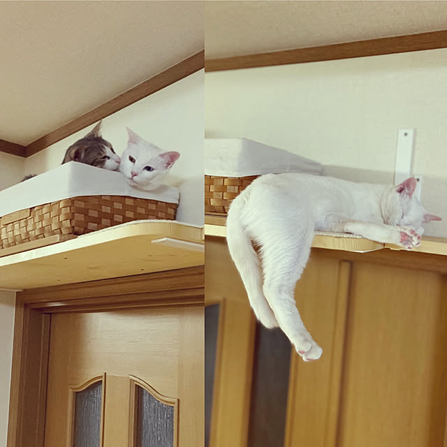 Mugiさんの実例写真