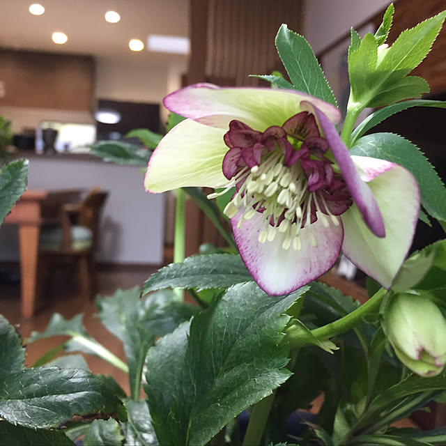 buchiさんの実例写真