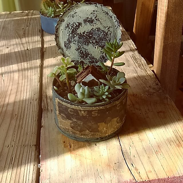 11wksさんの実例写真