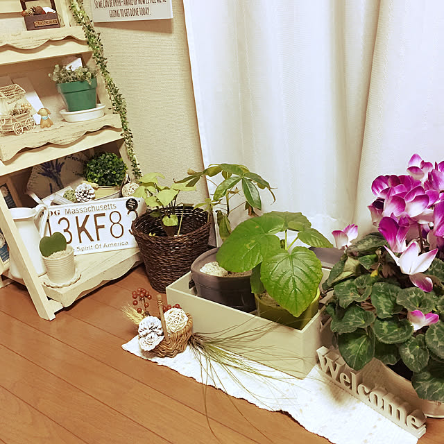 popoyukiさんの実例写真