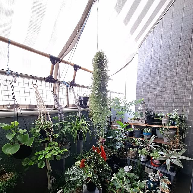 noaさんの部屋