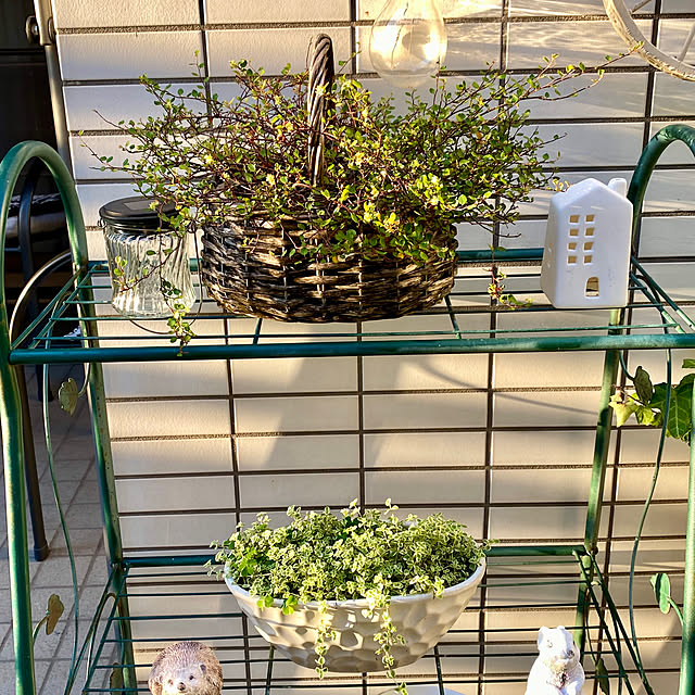 YuuKoさんの部屋