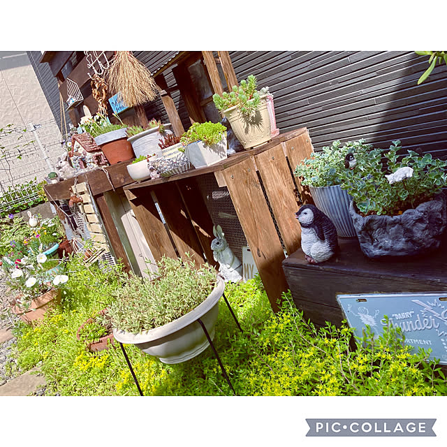 CoCo0617さんの部屋