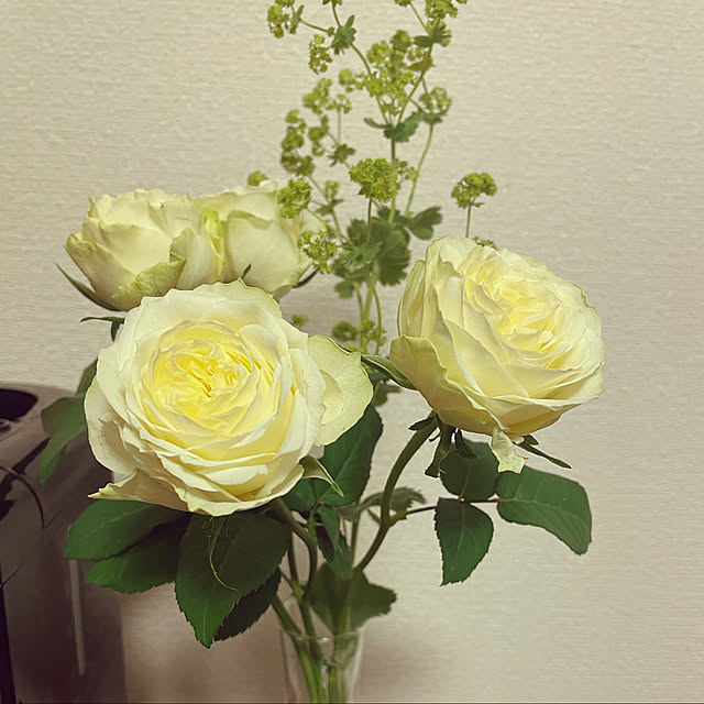 madobekissa_miwakoさんの実例写真