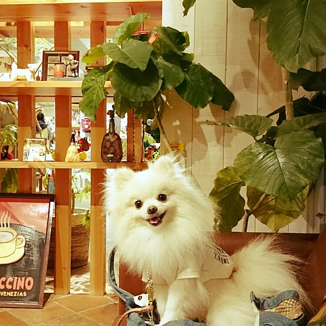yukaさんの実例写真