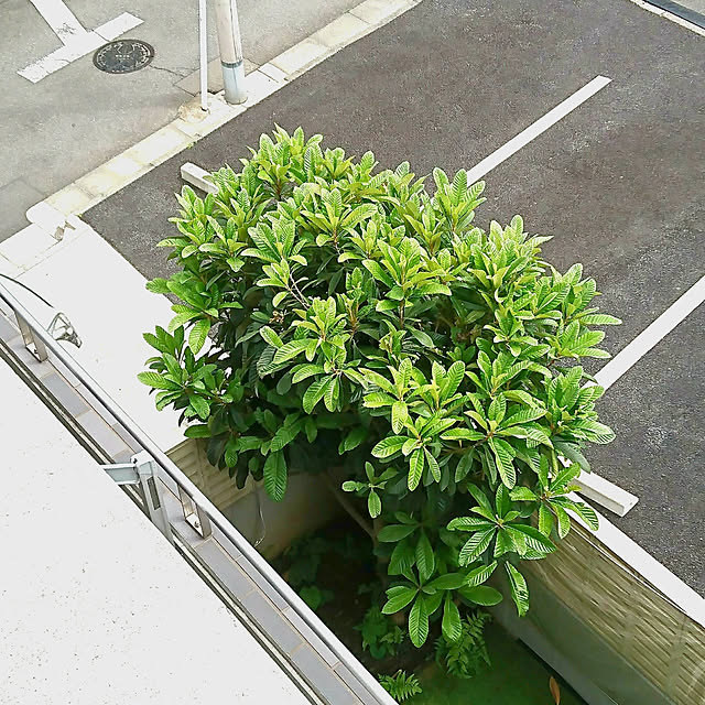 bonobono54さんの実例写真