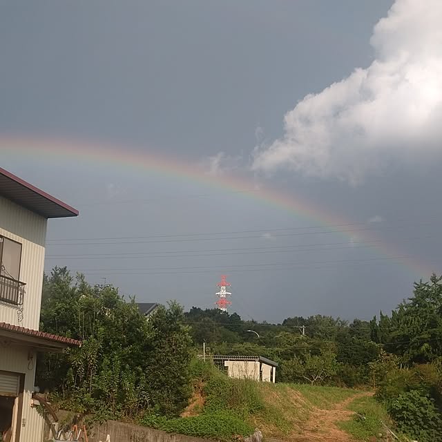 実例写真