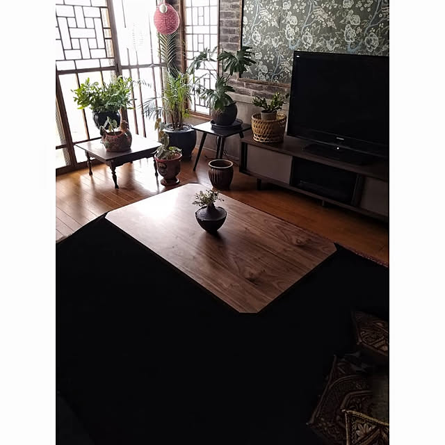 nikkoriさんの実例写真
