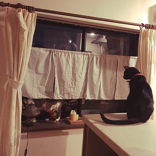 jijiさんの実例写真
