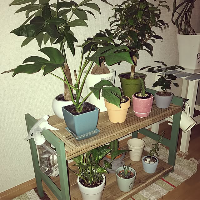 watさんの実例写真