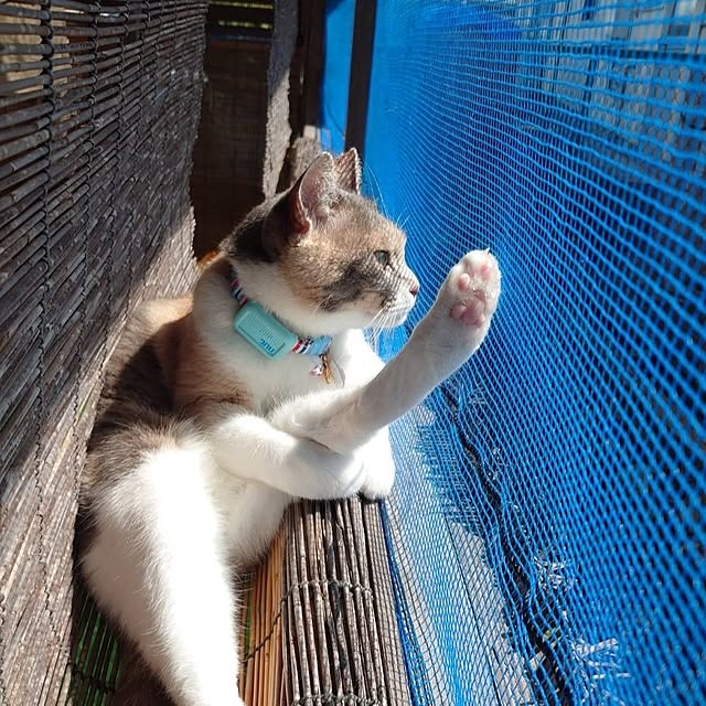 fukuさんの実例写真