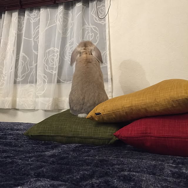 TOTOさんの実例写真