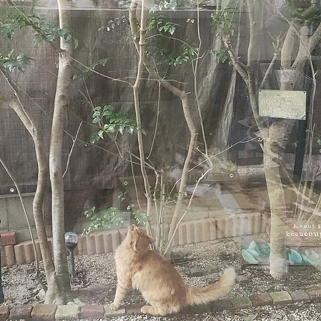 mori_6_12さんの部屋