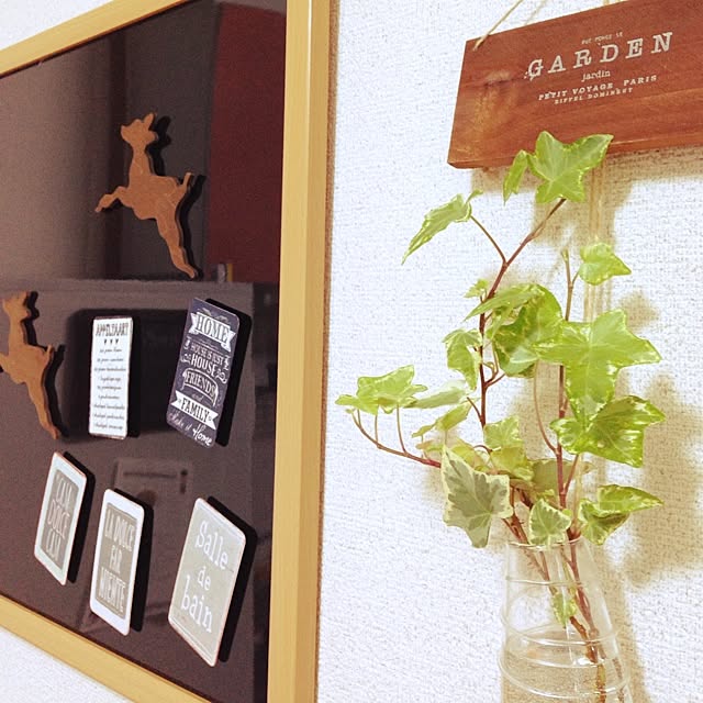 Satoさんの実例写真