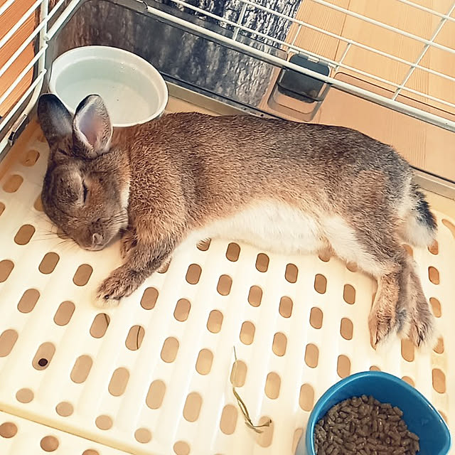 Taku38さんの実例写真