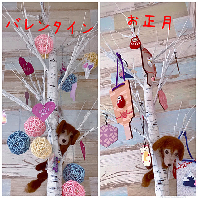 miyuさんの実例写真