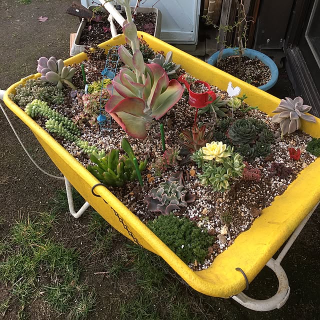 実例写真