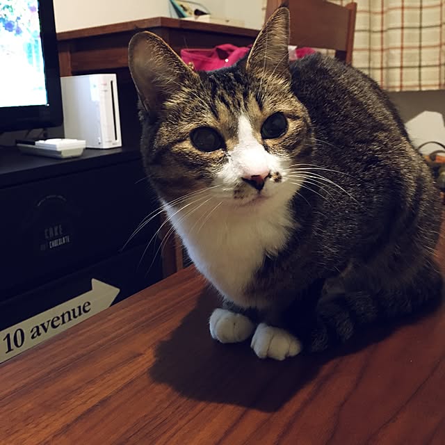 ayapiiiiceさんの実例写真