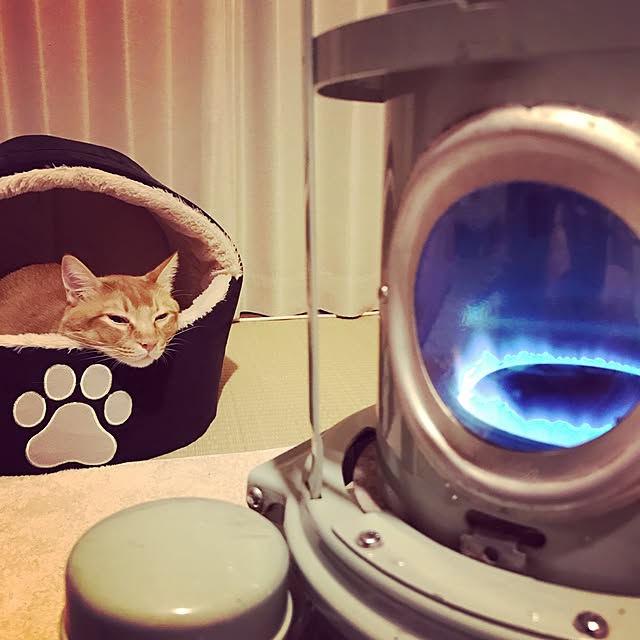 Tomoさんの実例写真